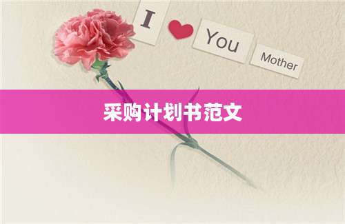 采购计划书范文