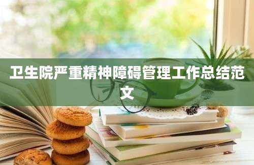 卫生院严重精神障碍管理工作总结范文
