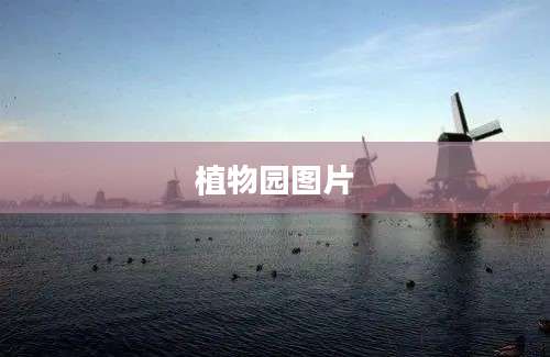 植物园图片