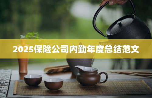 2025保险公司内勤年度总结范文