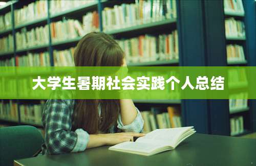 大学生暑期社会实践个人总结