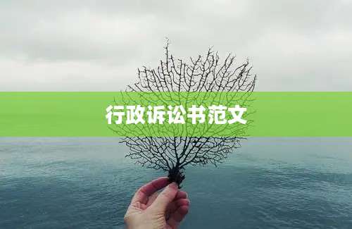 行政诉讼书范文