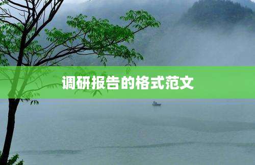 调研报告的格式范文