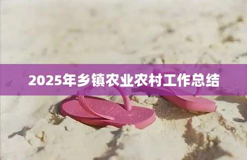 2025年乡镇农业农村工作总结