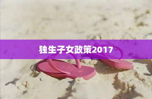 独生子女政策2017