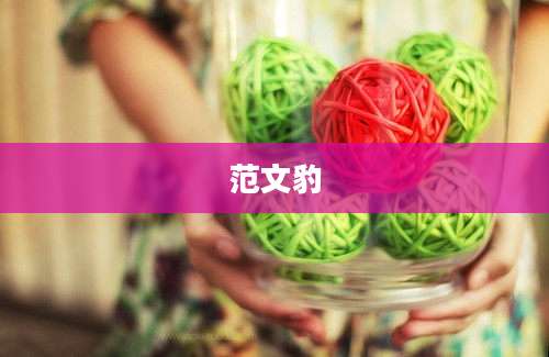 范文豹