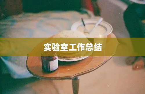 实验室工作总结