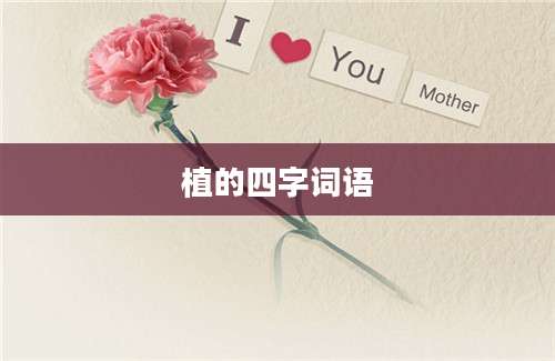 植的四字词语