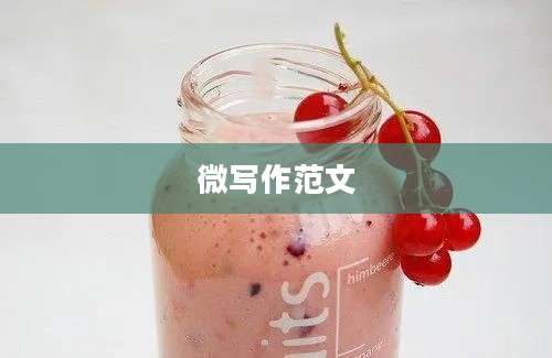 微写作范文