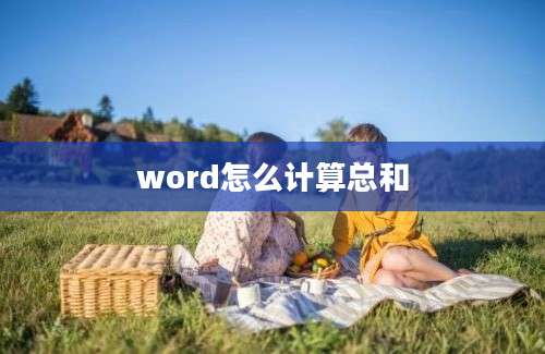 word怎么计算总和