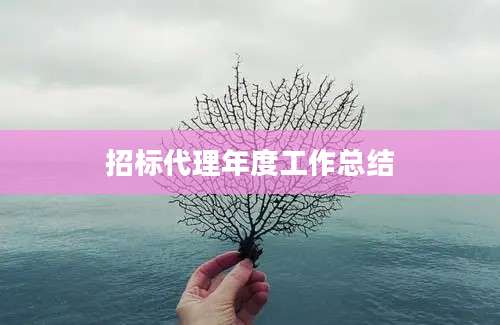 招标代理年度工作总结