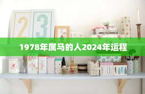 1978年属马的人2024年运程