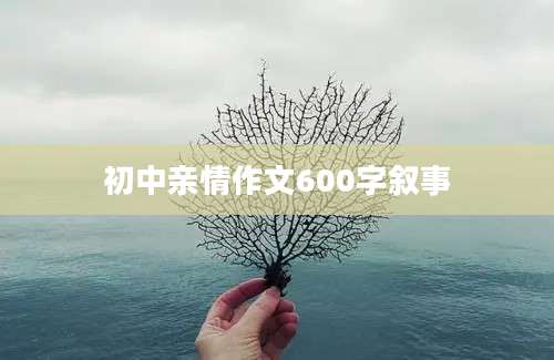 初中亲情作文600字叙事