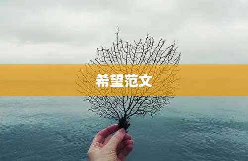 希望范文
