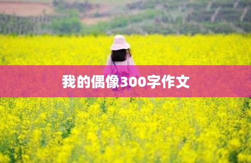 我的偶像300字作文