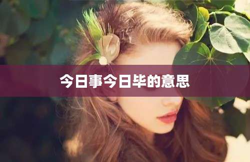 今日事今日毕的意思