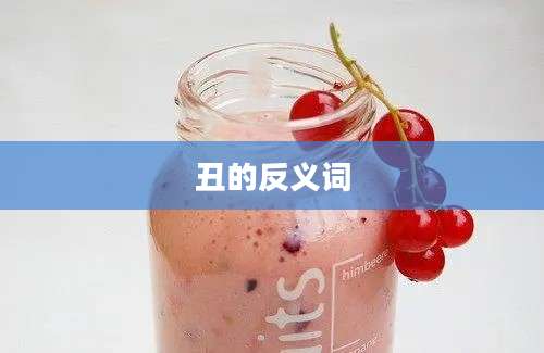 丑的反义词