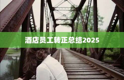 酒店员工转正总结2025
