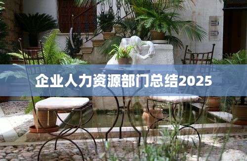 企业人力资源部门总结2025