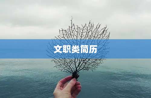 文职类简历