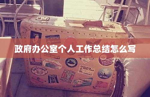 政府办公室个人工作总结怎么写