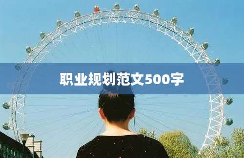 职业规划范文500字