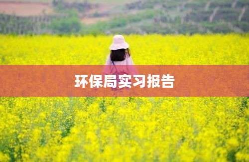 环保局实习报告