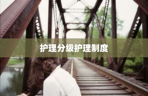 护理分级护理制度