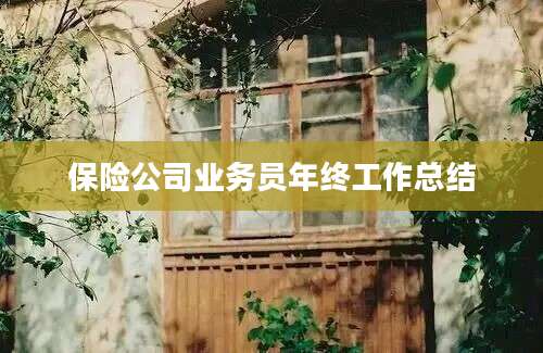 保险公司业务员年终工作总结