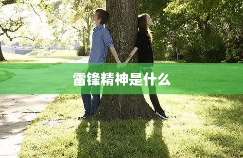 雷锋精神是什么