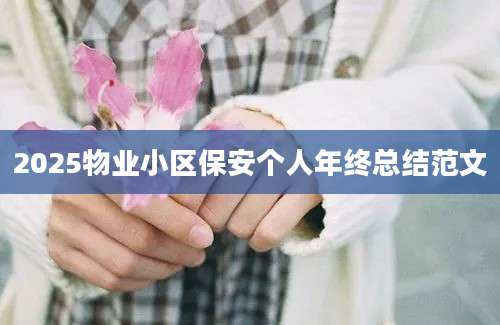 2025物业小区保安个人年终总结范文