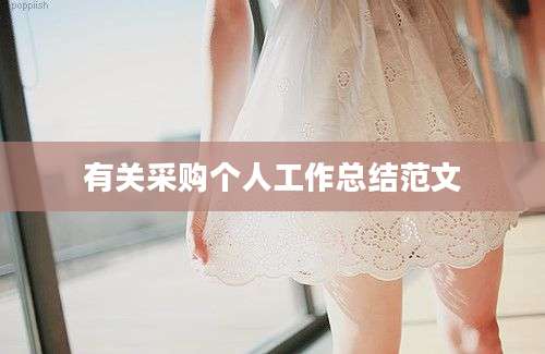有关采购个人工作总结范文