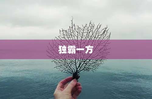 独霸一方