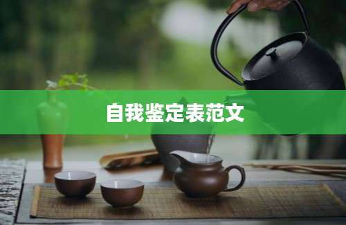 自我鉴定表范文