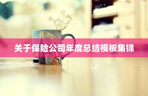 关于保险公司年度总结模板集锦