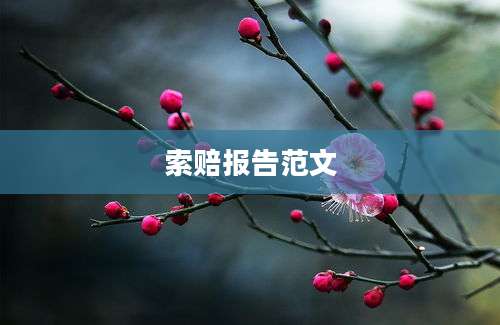 索赔报告范文