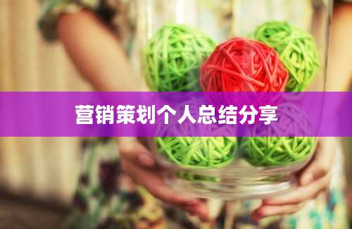 营销策划个人总结分享