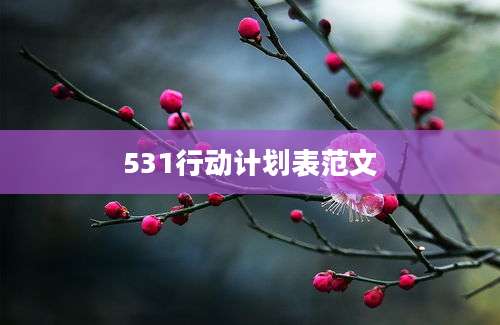 531行动计划表范文