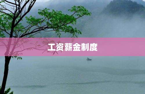 工资薪金制度