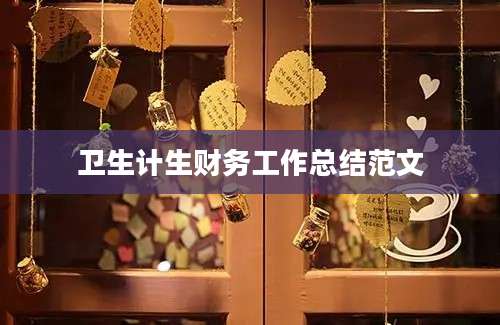 卫生计生财务工作总结范文