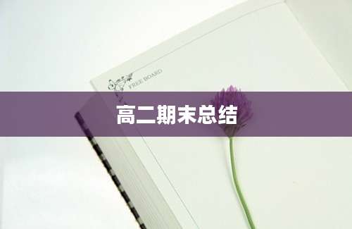 高二期末总结