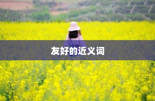 友好的近义词
