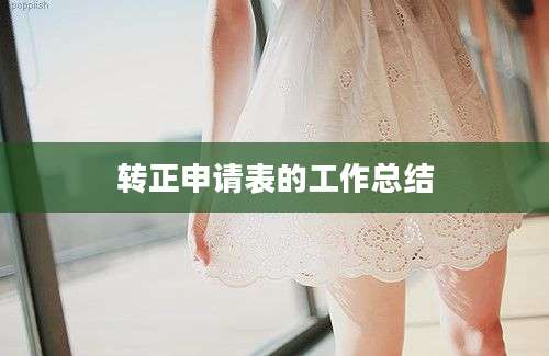 转正申请表的工作总结