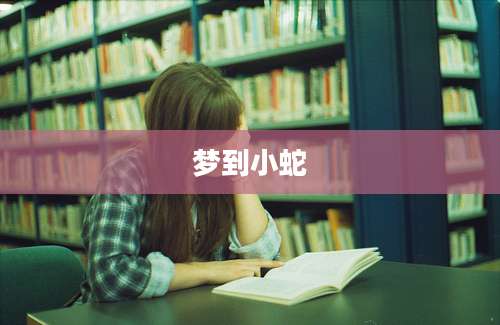 梦到小蛇