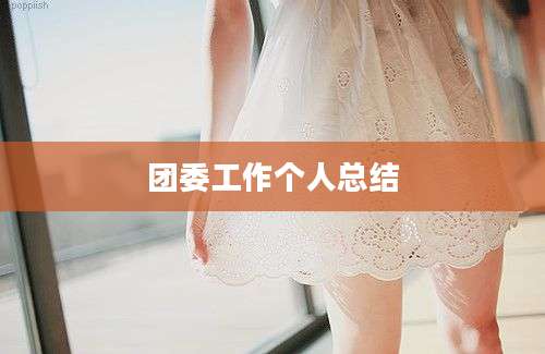 团委工作个人总结