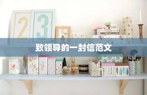 致领导的一封信范文