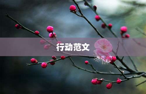行动范文