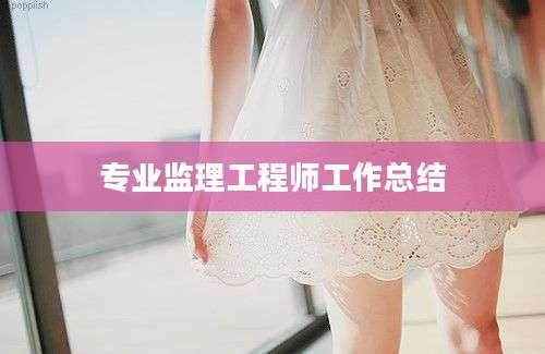 专业监理工程师工作总结