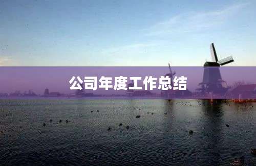 公司年度工作总结