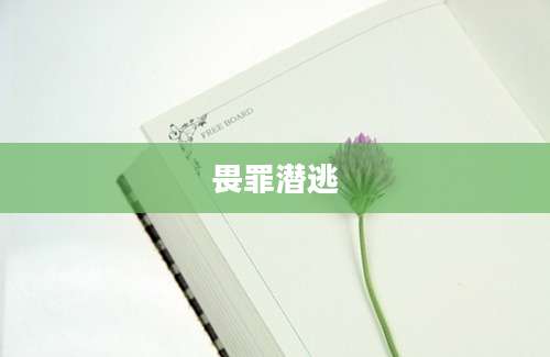 畏罪潜逃
